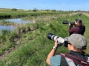 Fotografen mit Teleobjektiven in der Natur.