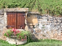 Steintor in Mauer mit Blumen davor.