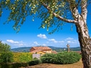 Landschaft mit Baum und Haus unter blauem Himmel.
