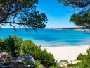 Mittelmeerstrand mit klarem Wasser und Kiefern im Vordergrund.