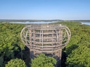 Aussichtsturm über Bäumen in einer Waldlandschaft mit See im Hintergrund.