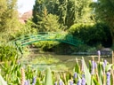 Grüne Brücke über Teich mit lilafarbenen Blumen und üppiger Vegetation.