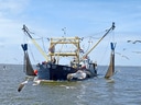 Fischkutter auf dem Meer, umgeben von fliegenden Möwen.