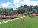 Blühender Garten mit steinernem Pfad und Bäumen.