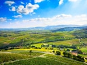 Panoramablick über sonnige Weinberge und Felder unter blauem Himmel.