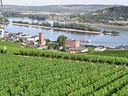 Seilbahn über Weinberge bei Rüdesheim am Rhein.