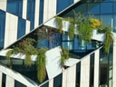 Moderne Gebäude-Fassade mit Pflanzen.