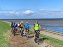 Gruppe von Radfahrern auf einem Deich am Meer bei sonnigem Wetter.