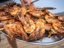 Gegrillte Garnelen auf einem Tablett.