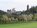 Burg in Frühlingslandschaft mit blühenden Bäumen.