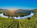 Flusslandschaft mit Weinbergen bei Sonnenuntergang.