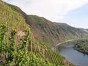Weinberge am Hang mit Fluss und Strasse in der Landschaft.