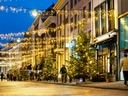 Weihnachtlich beleuchtete Strasse mit Tannenbäumen.