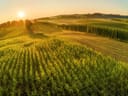 Landschaft mit grünen Feldern und Sonnenaufgang im Hintergrund.