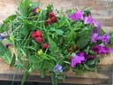 Verschiedene bunte Blumen und Beeren auf einem Holzbrett.