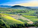 Weinberge und Hügel in der Landschaft bei Sonnenuntergang.