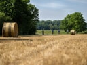 Heuballen auf Feld mit Radfahrern im Hintergrund.