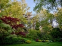 Landschaftsgarten mit grünen und roten Bäumen.