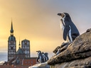 Pinguine auf Felsen mit Kirchturm im Hintergrund bei Sonnenuntergang.