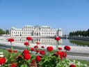 Blumen vor Schloss Belvedere mit reflektierendem Teich.