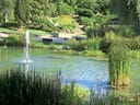 Garten mit Teich, Springbrunnen und Pflanzen.