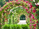 Blumengärten mit Rosenbögen und Topfpflanzen.