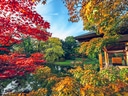 Japanischer Garten mit Herbstlaub und Teich.