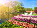 Blumenbeet am Teich in sonniger Frühlingslandschaft.