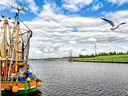 Fischerboot im Hafen mit fliegender Möwe am Himmel.