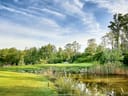 Grüne Landschaft mit Teich und Bäumen unter blauem Himmel.
