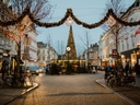 Weihnachtlich geschmückte Strasse mit grossem Baum und Lichterketten.