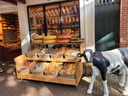 Bäckerei mit Brot, Käselaiben und Kuhstatue.