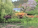 Garten mit Teich und blühenden Bäumen, Haus im Hintergrund.