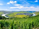 Panoramablick auf Weinberge und Flusslandschaft mit Dorf im Hintergrund.