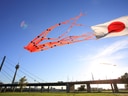 Oranger Oktopus-Drachen in der Luft mit japanischer Flagge.