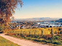 Panoramablick über herbstliche Weinberge und Dorf am Fluss.