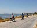 Gruppe von Radfahrern auf Küstenstrasse am See.