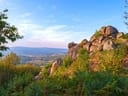 Landschaft mit Felsen und üppiger Vegetation im Vordergrund.