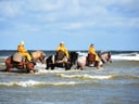 Pferdefischer in gelben Regenmänteln reiten am Meer.