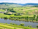 Panoramablick auf Weinberge am Fluss.