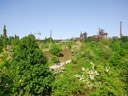 Landschaft mit Bäumen und Industrieanlagen im Hintergrund.
