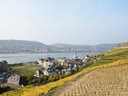 Blick auf Fluss, Stadt und Weinberge bei klarem Himmel.
