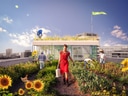 Menschen pflegen Dachgarten mit Sonnenblumen und Gemüse.