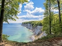 Kreidefelsen und Bäume an der Ostseeküste.