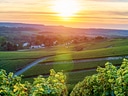 Sonnenuntergang über Weinbergen und Feldern.
