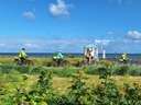 Radfahrer auf Küstenweg mit Meerblick und Blumen.
