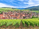 Panorama einer französischen Weinstadt mit Weinbergen und Hügeln im Hintergrund.