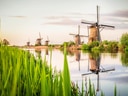 Windmühlen an einem Flussufer mit Spiegelung im Wasser.