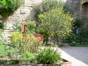 Blühender Garten mit gelben und roten Blumen vor Steinmauer.