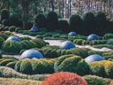 Garten mit grünen Büschen und blauen Kugeln.
